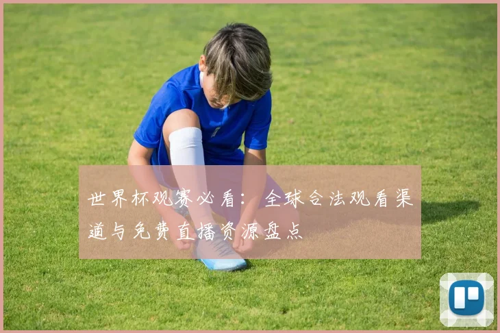 世界杯观赛必看：全球合法观看渠道与免费直播资源盘点