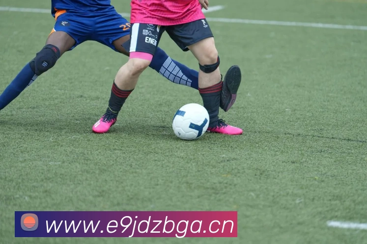 App Interface Preview